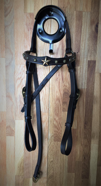 Classic Stock Bridle with Feature Browband